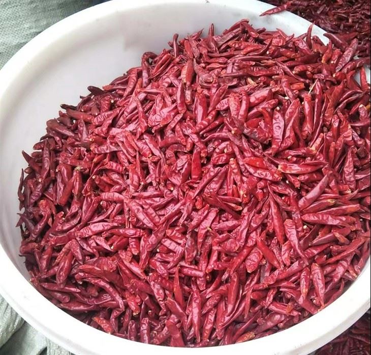 Dried Hot Red Chili Crushed