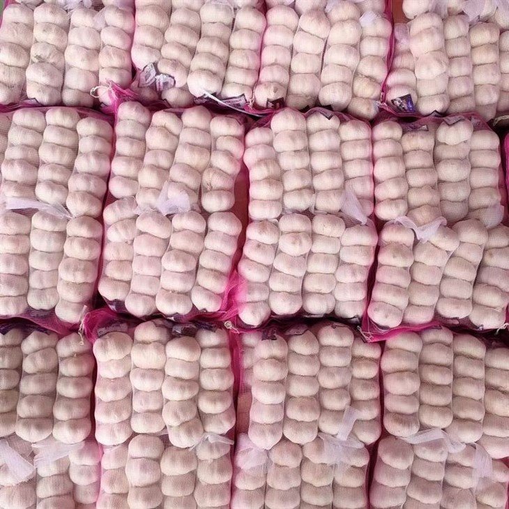 5p fresh garlic in mesh bag